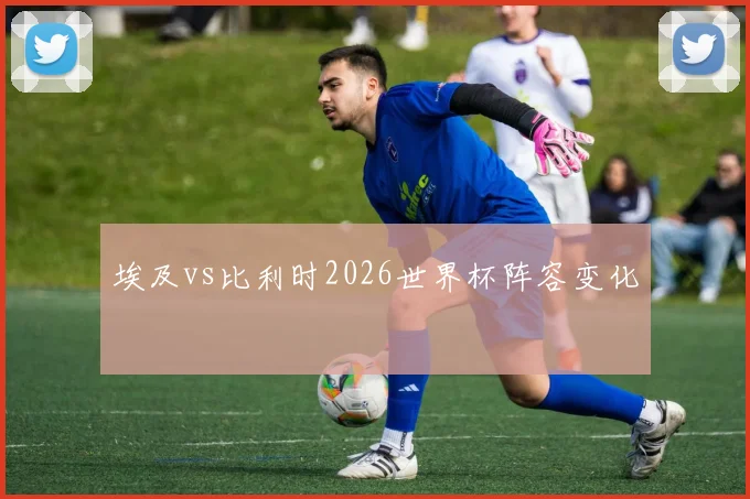 埃及vs比利时2026世界杯阵容变化