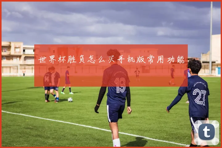 世界杯胜负怎么买手机版常用功能